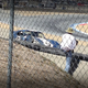 Illustration for article titled $4 Million Shelby Daytona Coupe Crashes At Laguna Seca